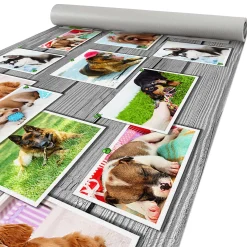 Küchenläufer Küchenteppich Läufer Flur Teppichläufer Hundemotiv Mehrfarbig 80cm Breit